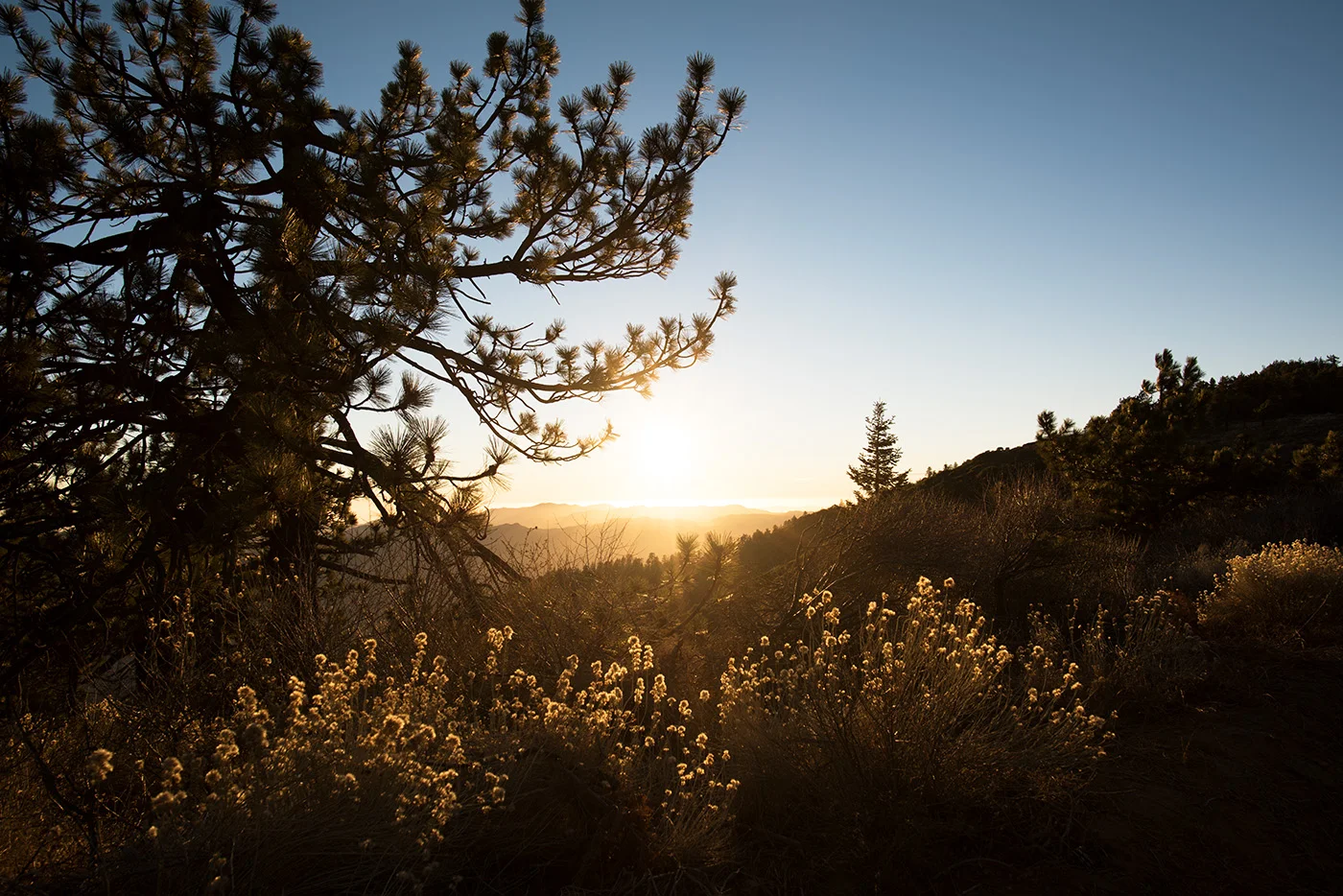 Deborah_Farnault_Sespe_Wilderness_2016_DSC_6065.jpg