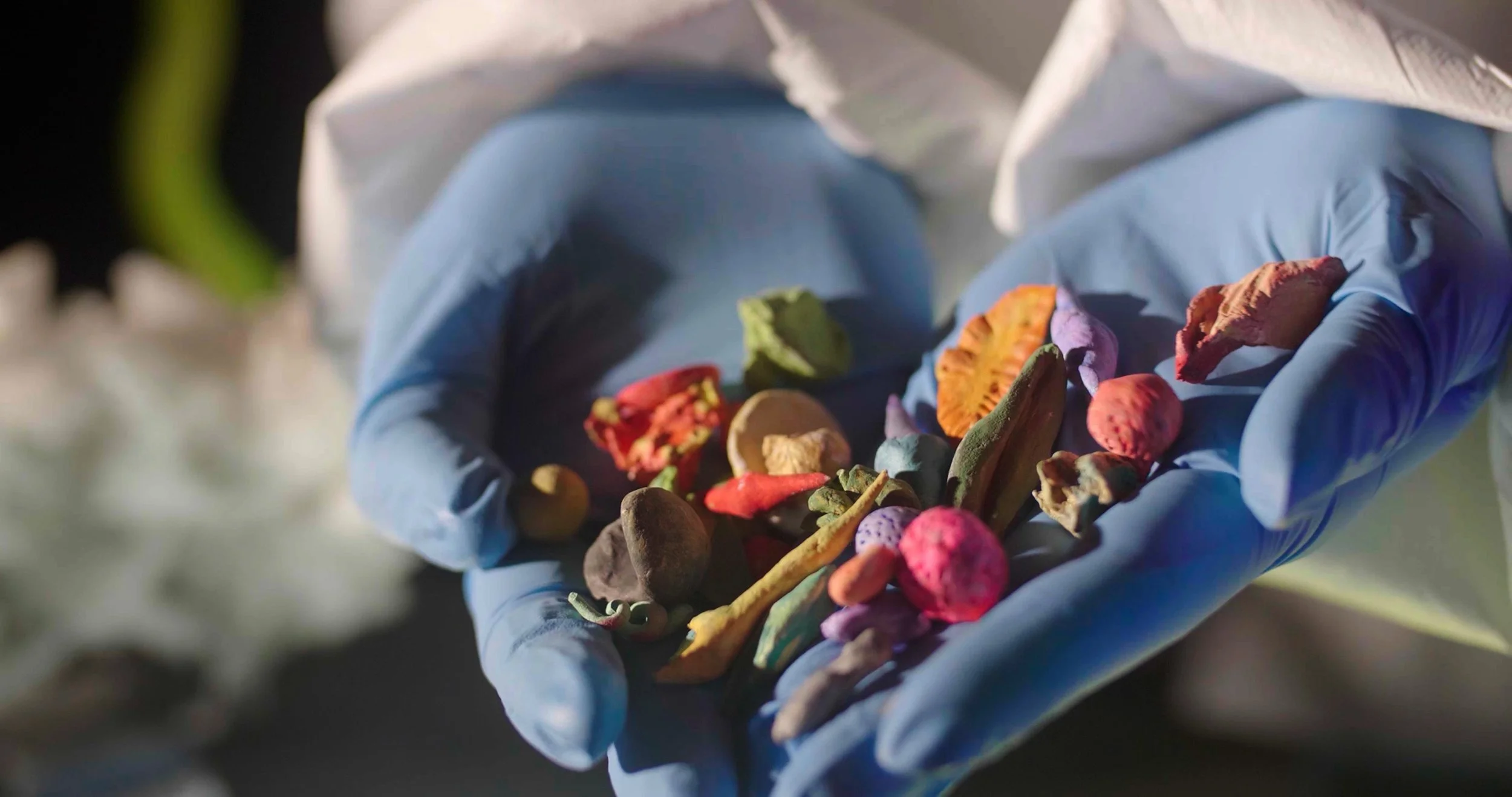 Psychoterra_STILL 1.jpg