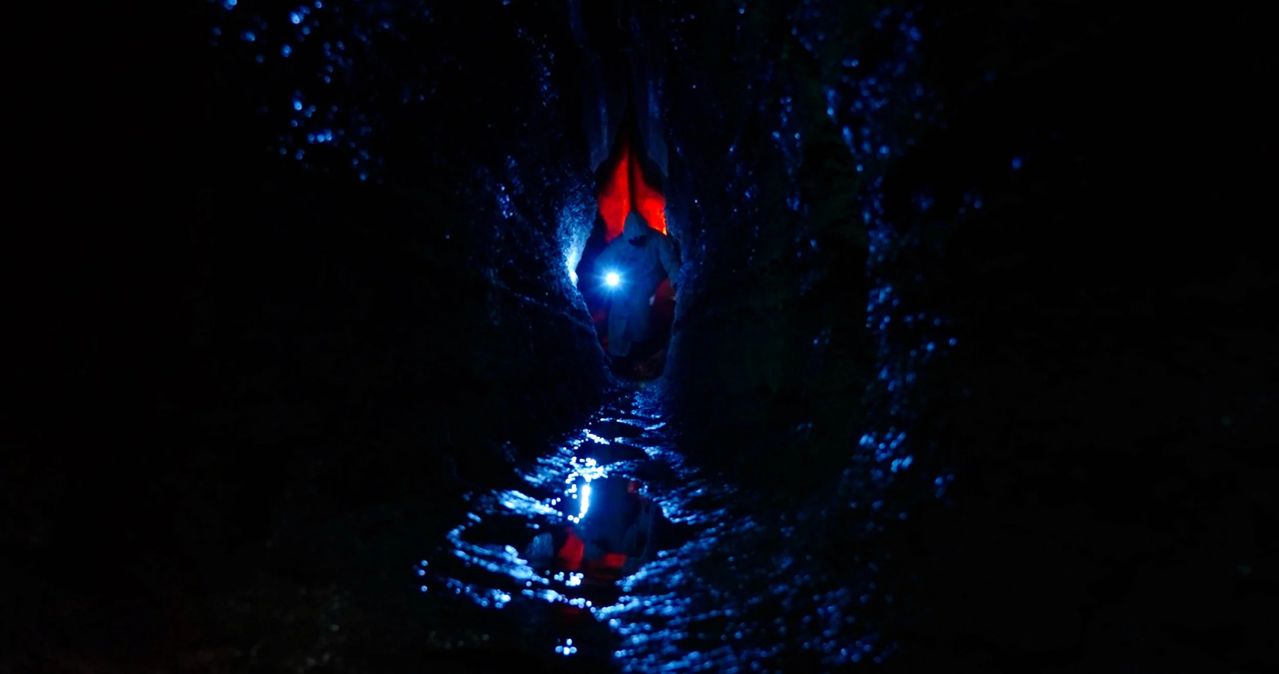 Psychoterra_STILL 2.jpg