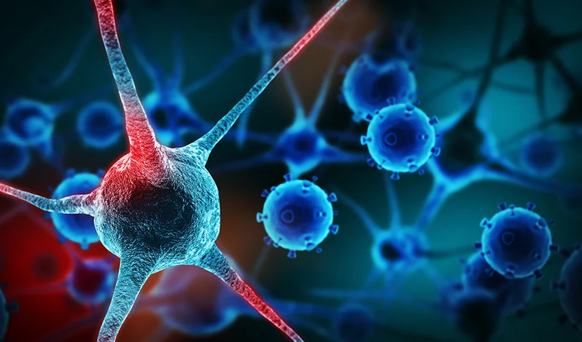 Inhibiting-Cancer-Cells-Using-NMR-Spectroscopy.jpg
