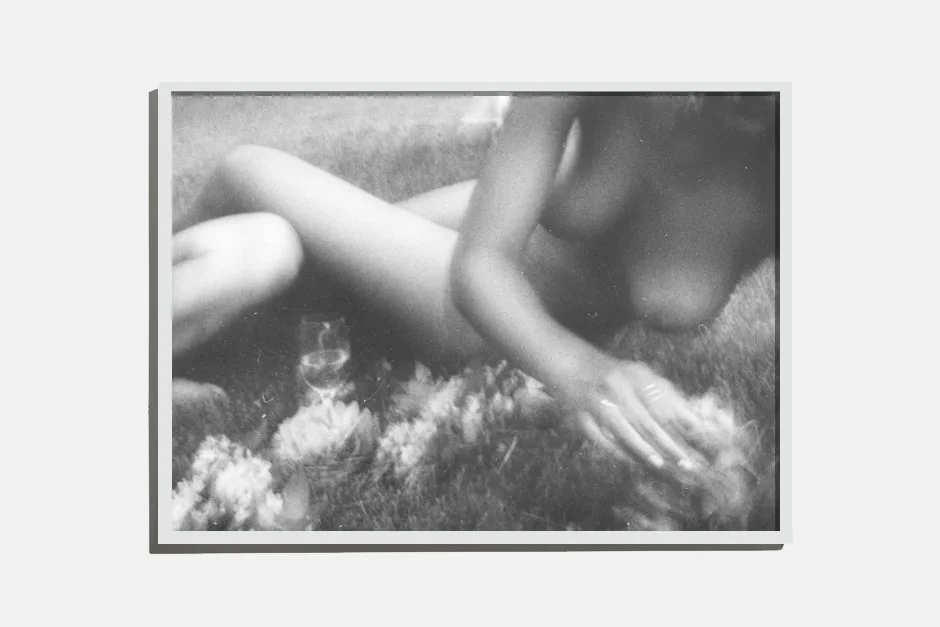 Enlarged Polaroid Type 100 Film