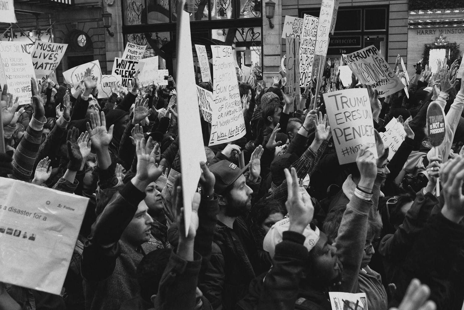 Hands Up Don't Shoot