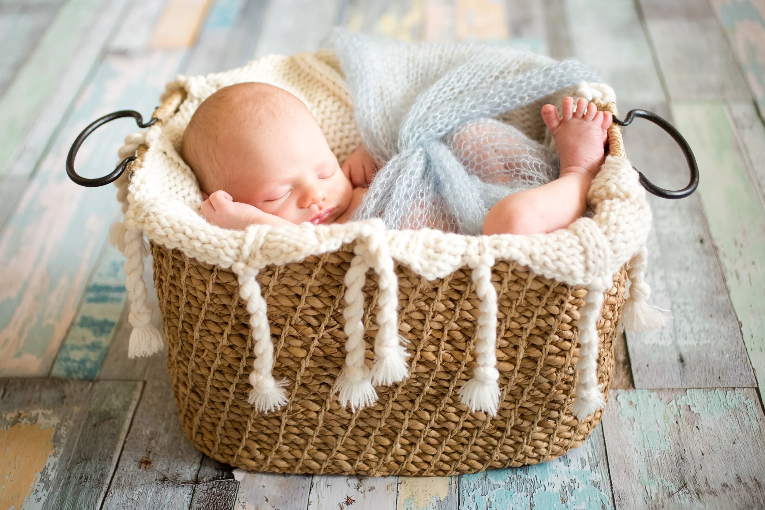 1B8A0383.jpg