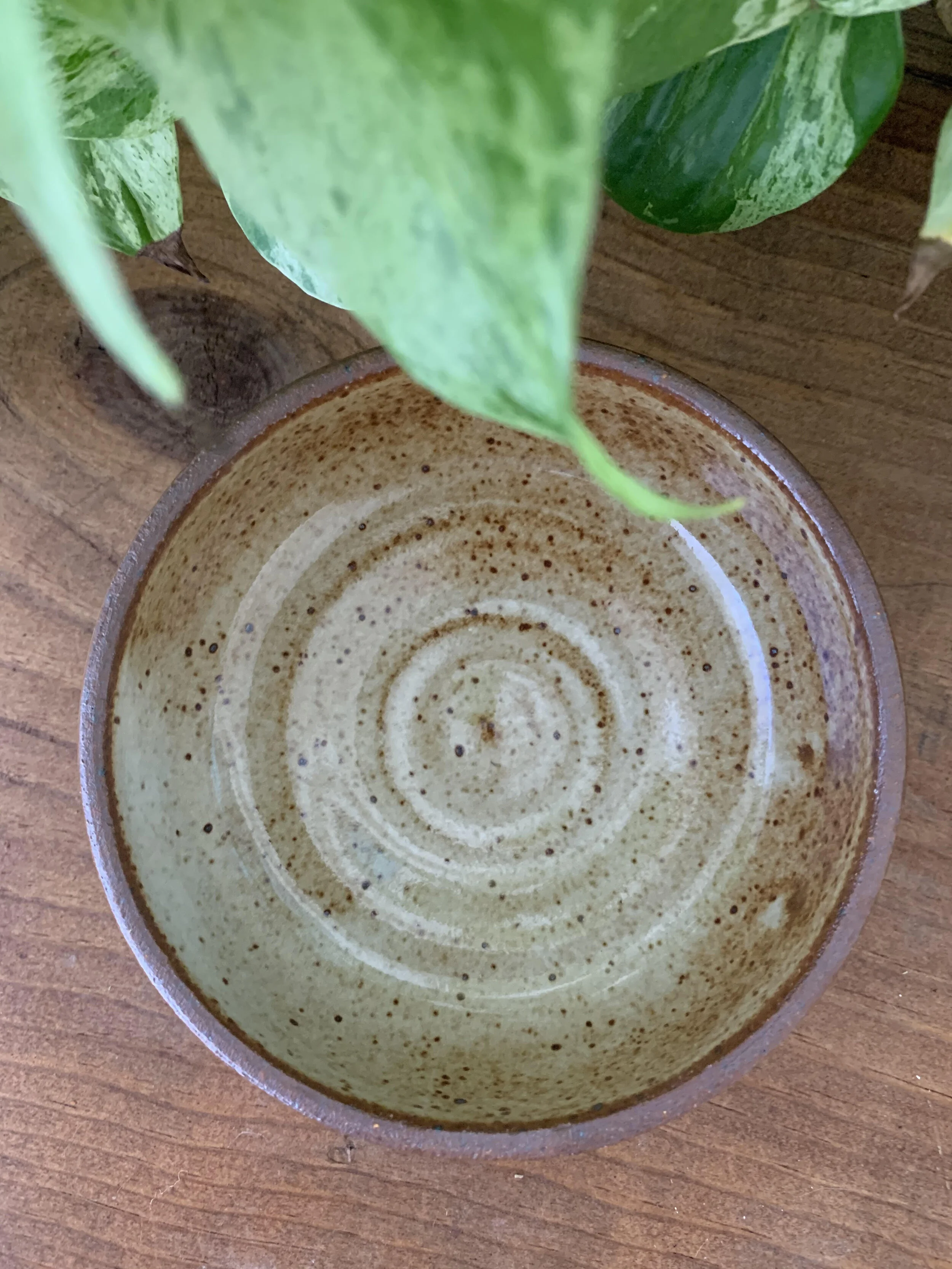 bowls 4.jpg