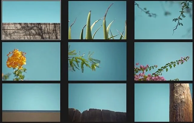 A lot has changed over these last few months. I have been tested in ways that I could have never imagined. I have been forced to sit and be still. And honestly I am so grateful. I feel like we have all been given this rare opportunity to pause and st