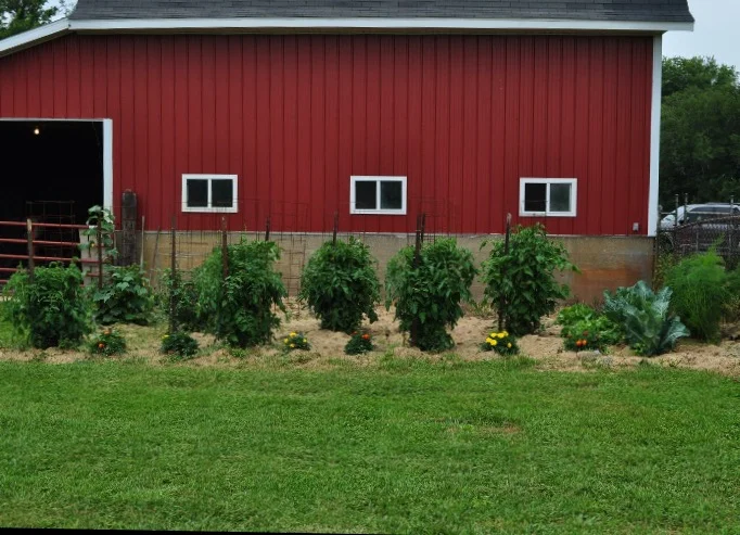 A picture of our garden I took a few years ago