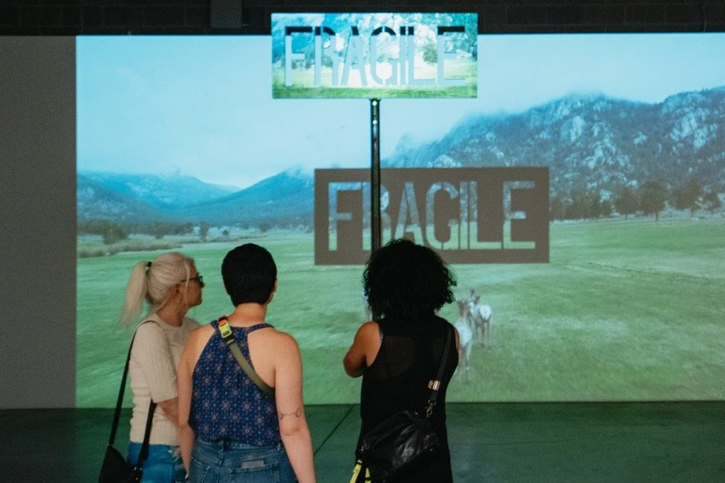 FEMA Exhibition Reflections with Dustin Young of SW Gallery & Science Center