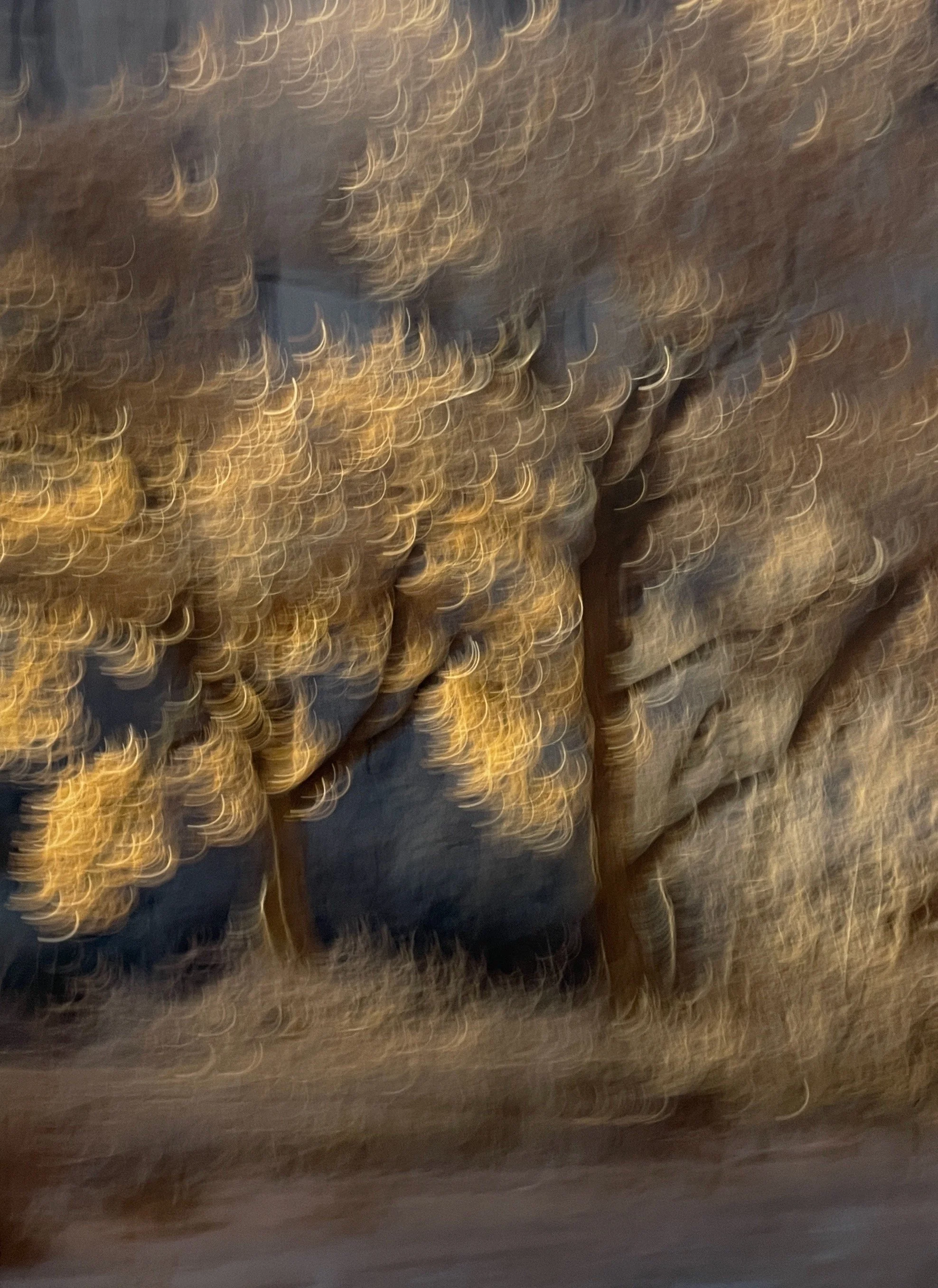 Gunnar Plake. "Canyon de Chelly." 2006. C-print.