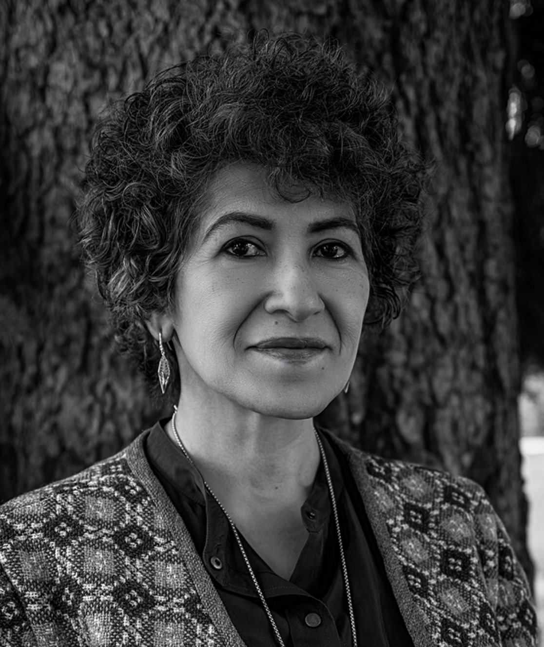 Laleh Mehran (Resource Artist)