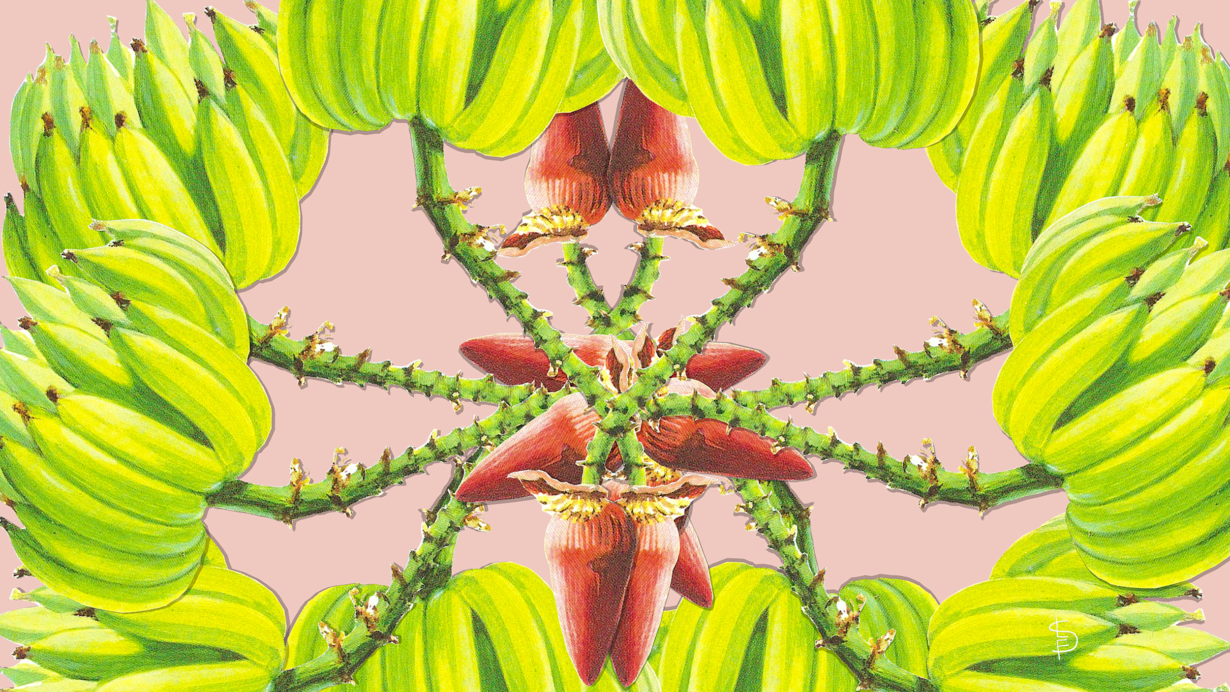 Artist Event & Exhibition Roundup: March 2026