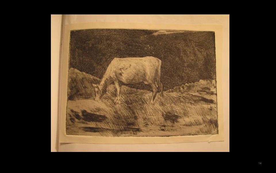  Etching: &nbsp;Grazing 
