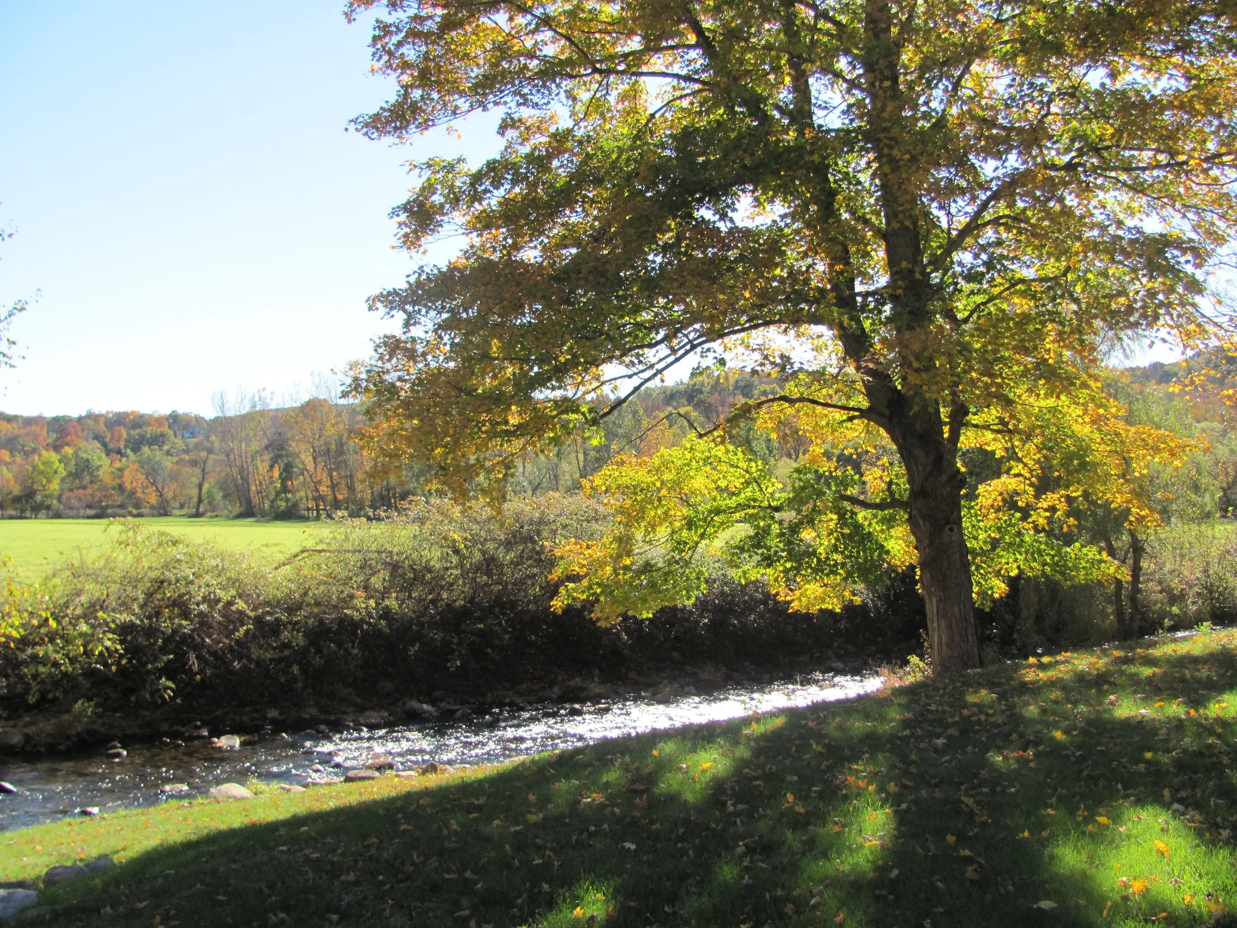   Weekeepeemee River Valley from Connecticut Studio.  