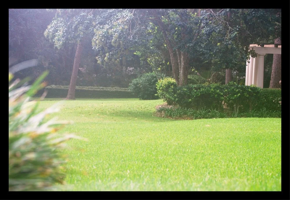 Lawn care is about providing an environment that supports the natural landscape that is your yard.