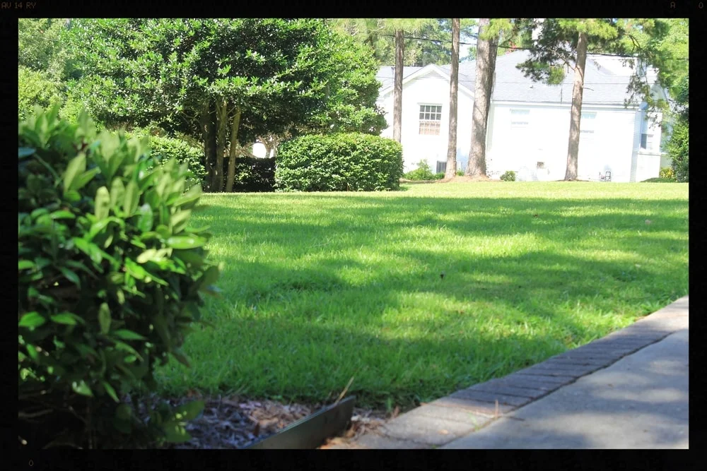 The yard is one of the first things that we notice when we enter a neighborhood. And the maintenance of the yard says a lot. 
