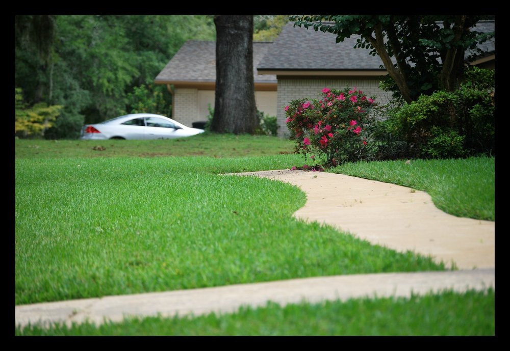 Tallahassee+lawn+care+edging+sidewalk-min.jpg