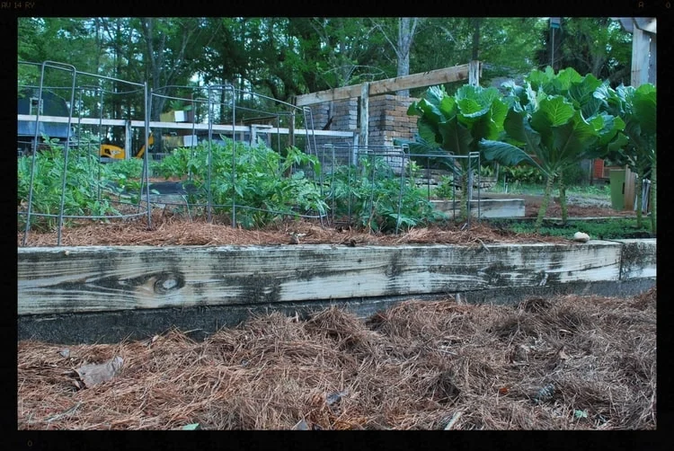 Tallahassee+Nursery+12-min.jpg
