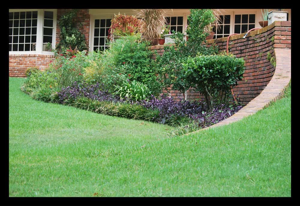 Tallahassee+lawn+care+and+bed+control-min-min.jpg