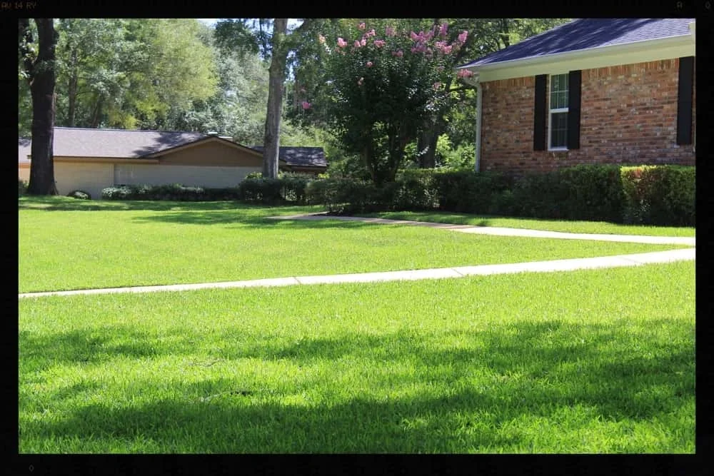Tallahassee+Lawn+Care-min-min.jpg