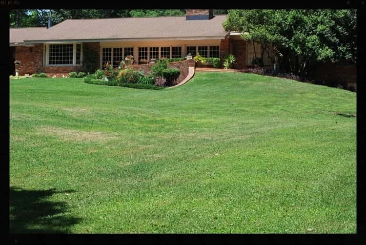Tallahassee+Lawn+Care+3-min-min.jpg