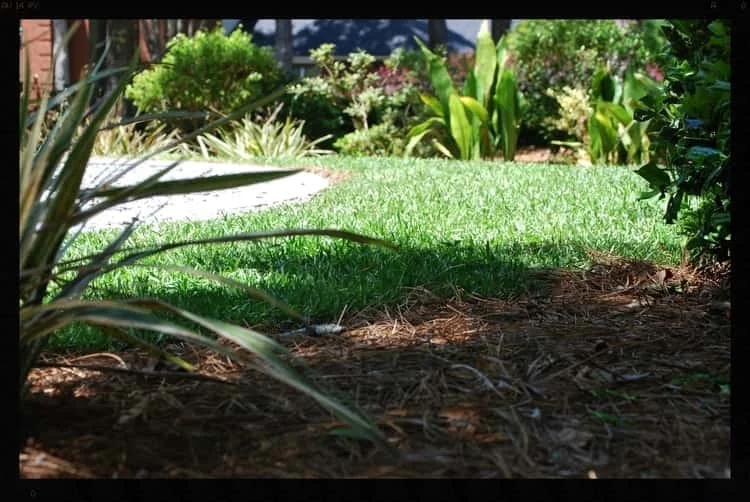 Tallahassee+Lawn+Care+5-min-min.jpg