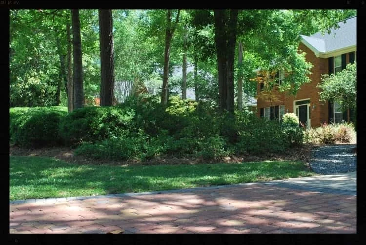 Tallahassee+Lawn+Care+9-min-min.jpg