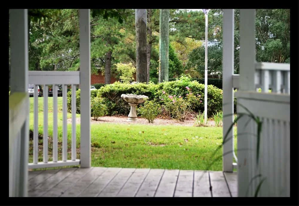 Tallahassee+Lawn+care+provider-min-min.jpg