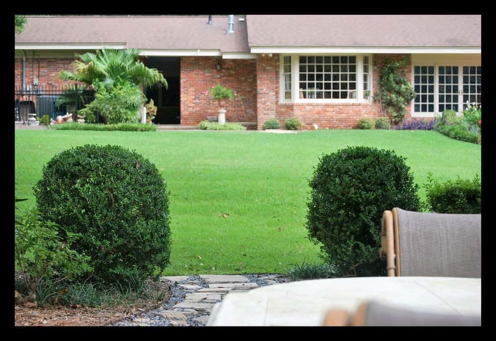 Tallahassee+shrub+clean+up+lawn+care-min-min.jpg