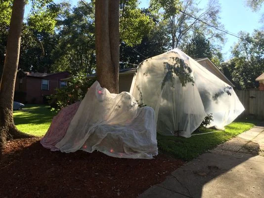  (Photo: Jeff Burlew/Democrat) 