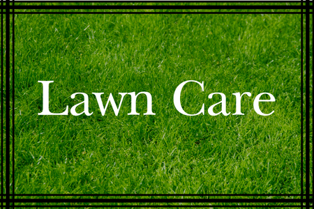  Lawn Care Packages 