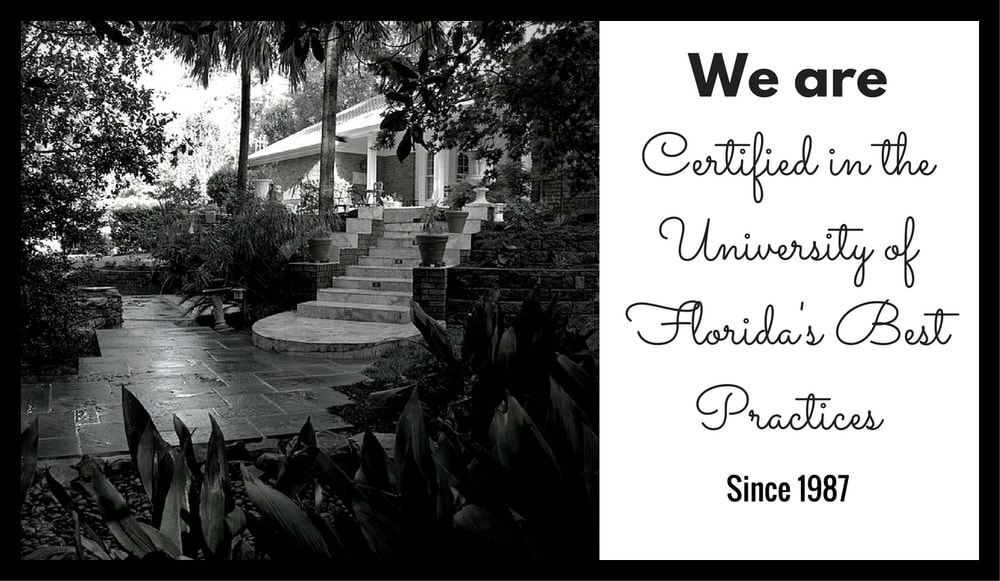 University of Florida Best Practices