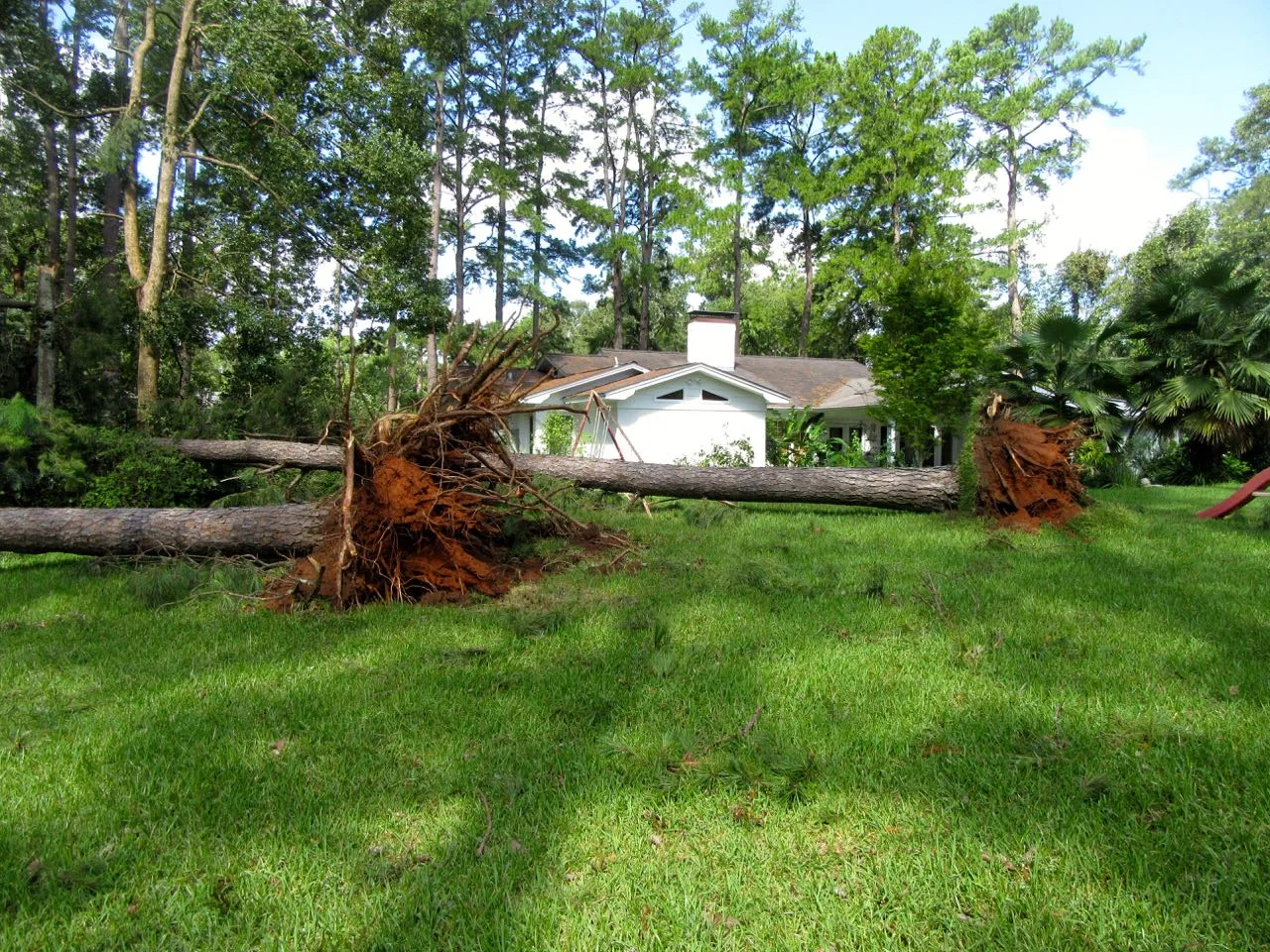 Tallahassee Hurricane Lawn Damage.jpg