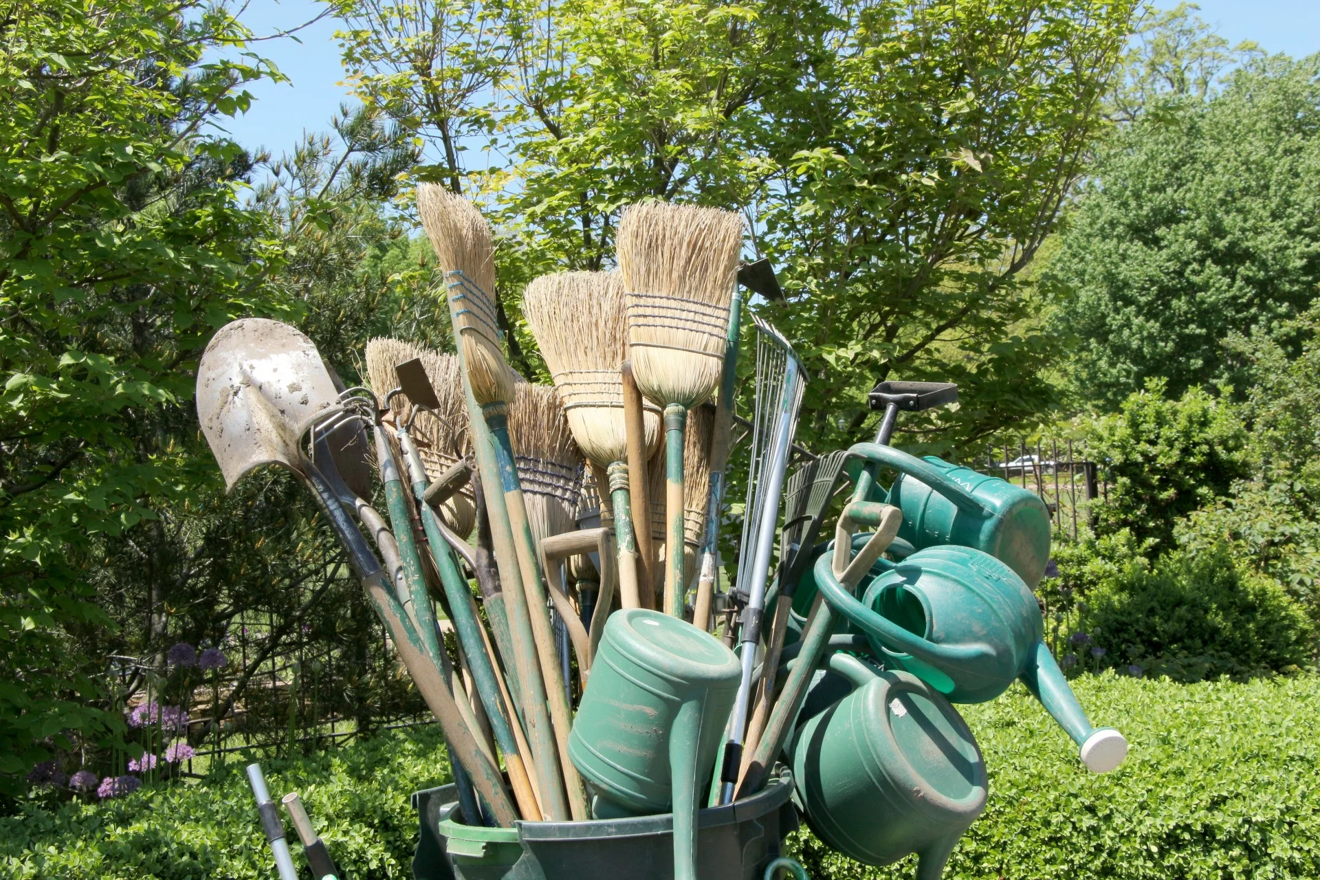 Landscaping Tools in Tallahassee.jpg