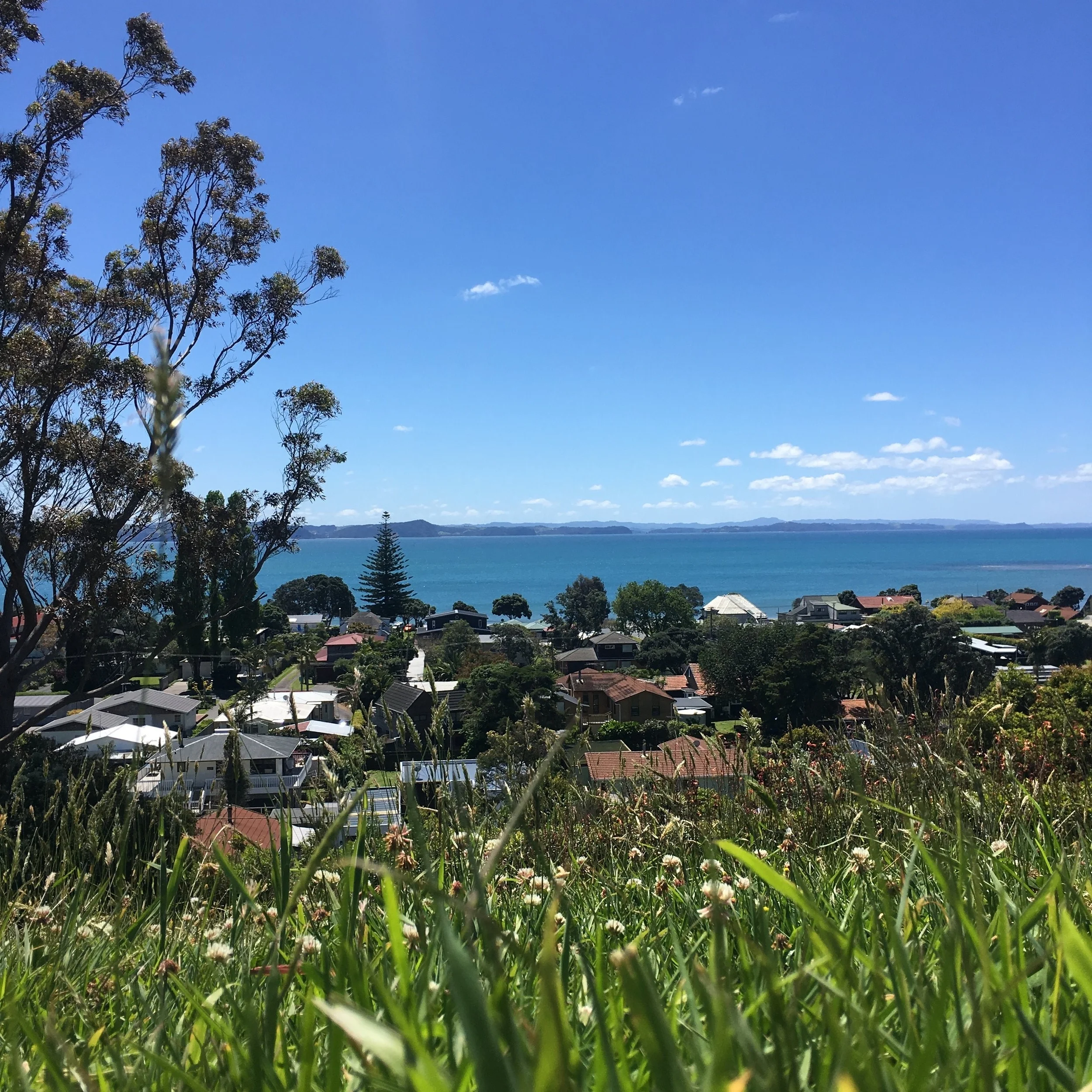 view.jpg