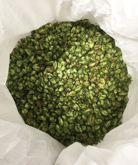 Wet Hop4.jpg