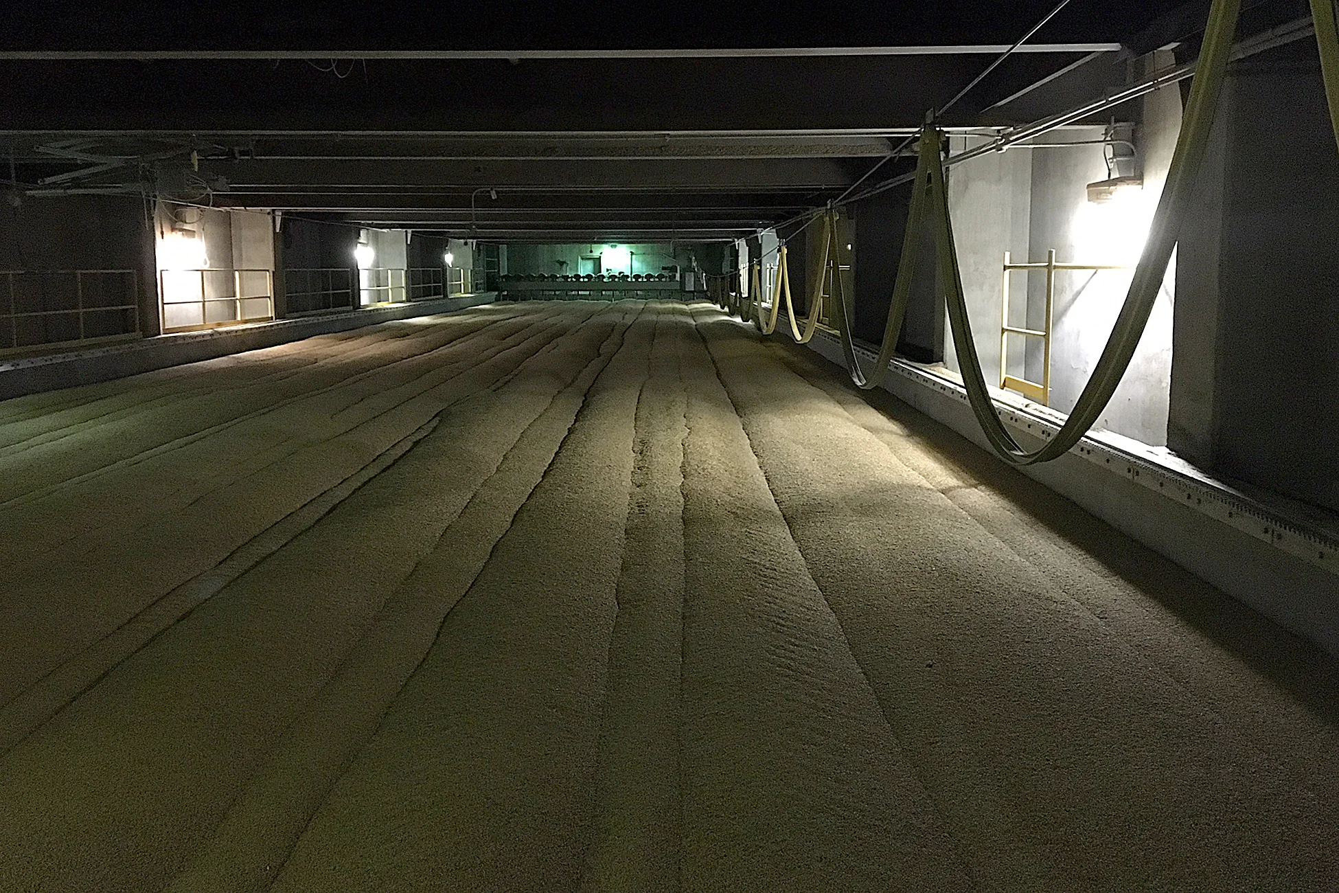 Step three: Kilning. Stops the germination process and drives off moisture. This is the last step in the malting process, this malt is now ready to brew with!