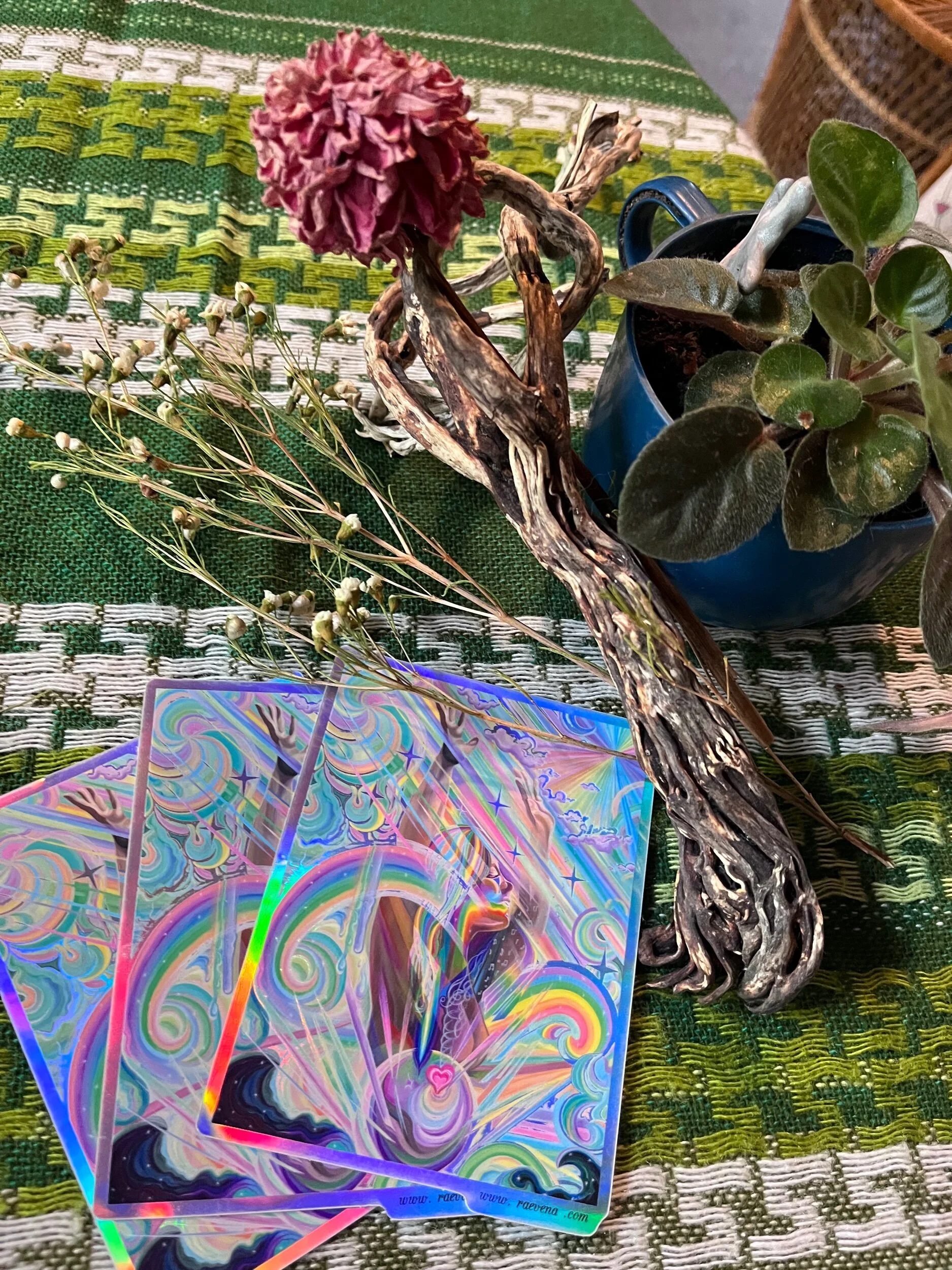 AC529922-90D7-451B-A0B5-FA5B96A0D2B0