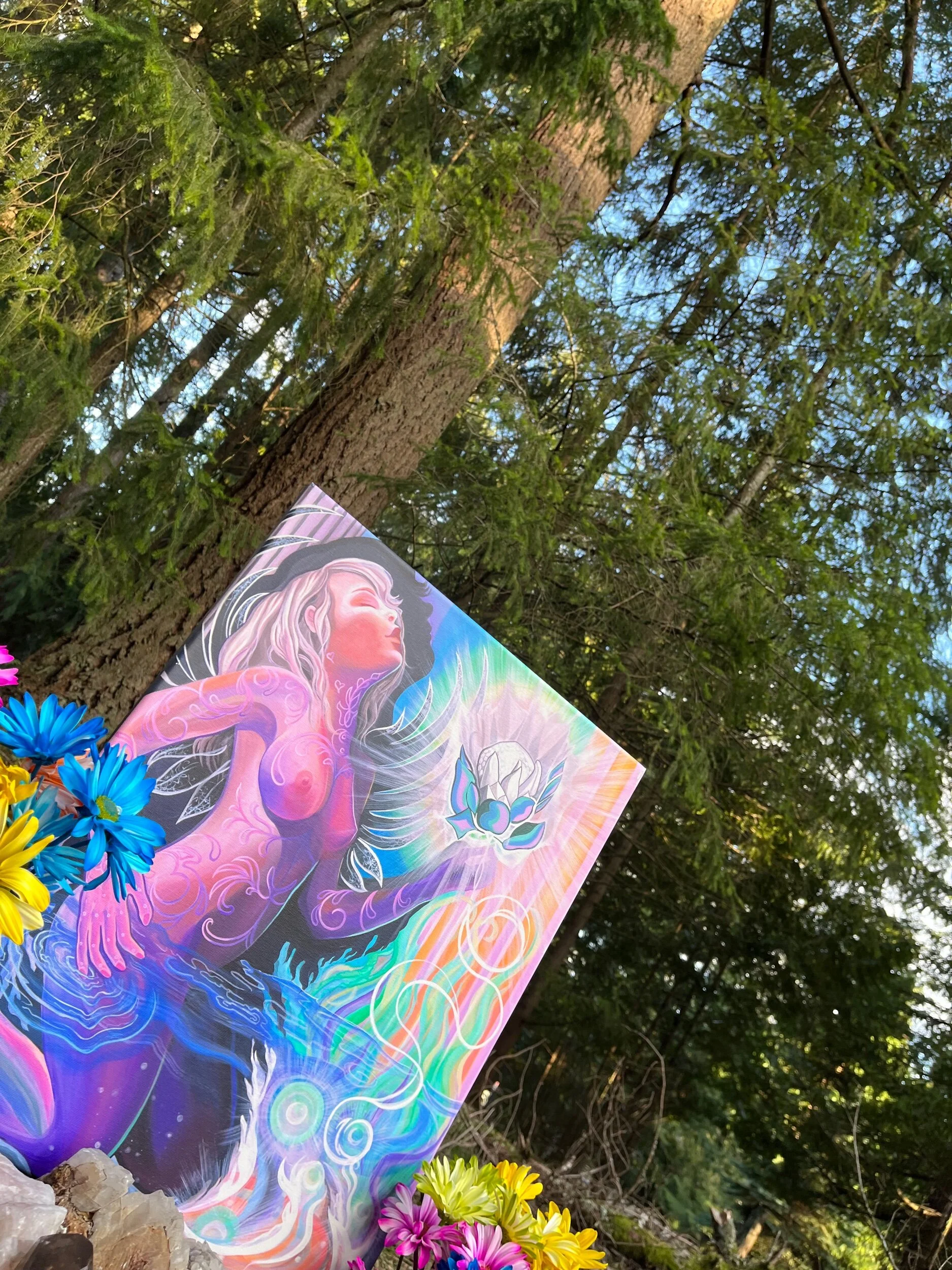 7DB63316-6720-4D24-9BD0-0450A5029E02