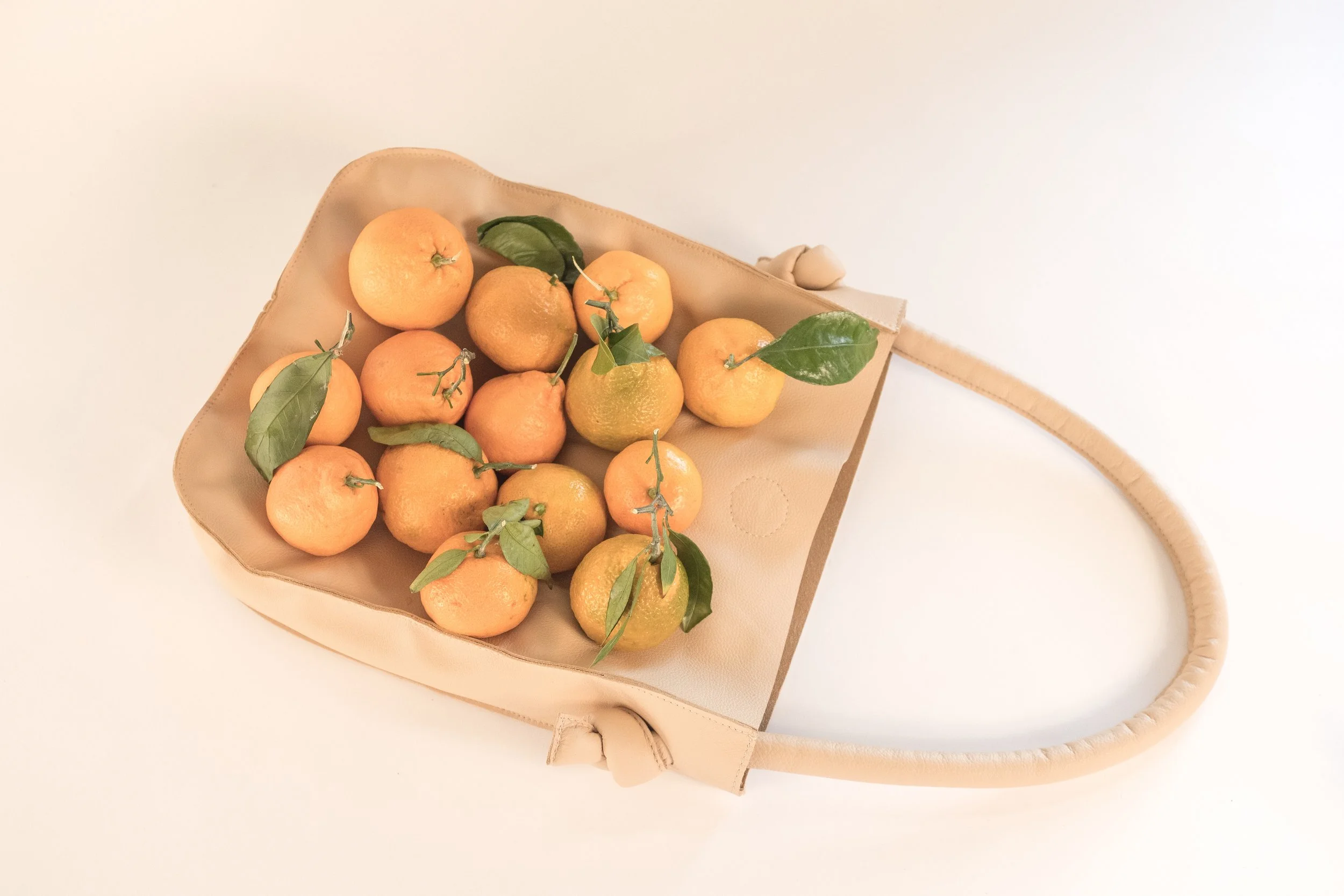 Lady Bag Tawny — Hannah Emile