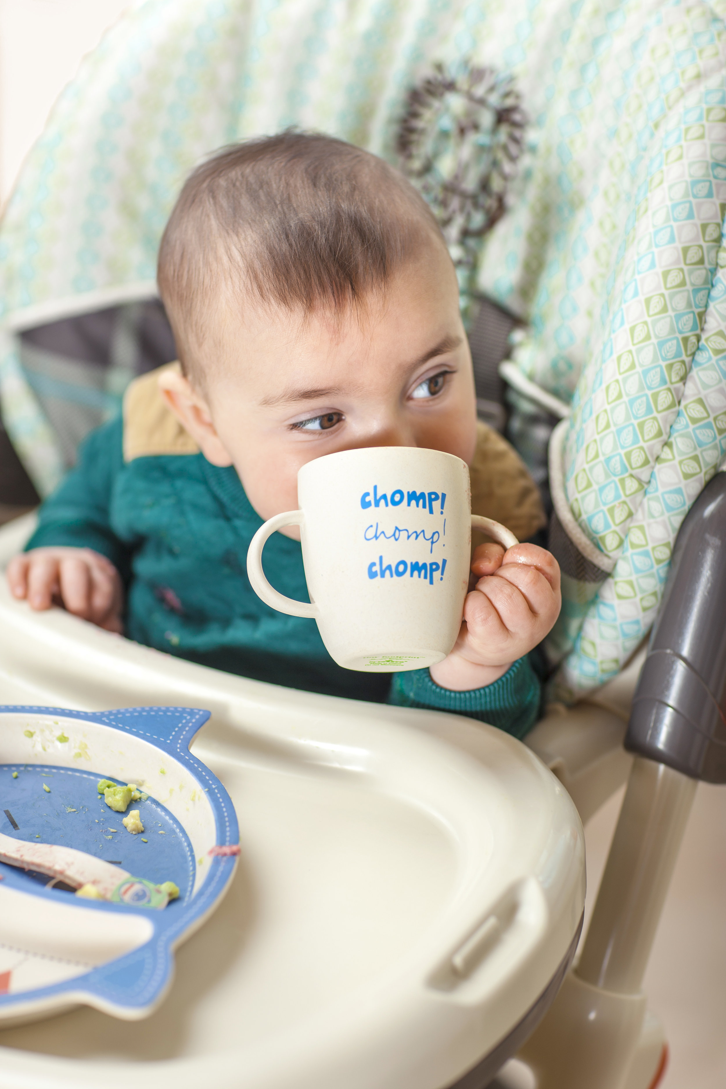 SHARK_DINNERWARE_MGL0033.jpg