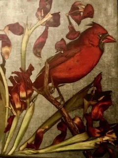 Cardinal Botanica