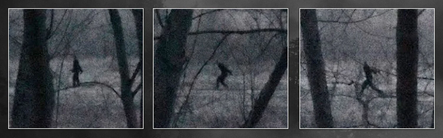 Paranormal Supper: Big Foot