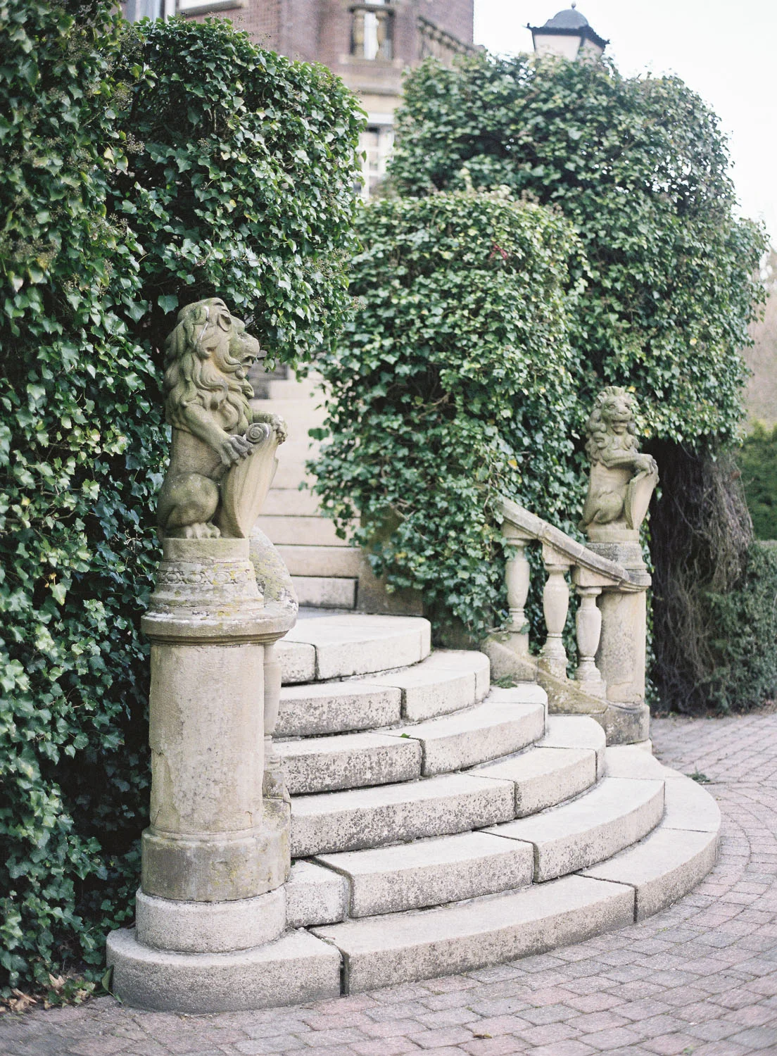 Holland Серия sq space)8.jpg