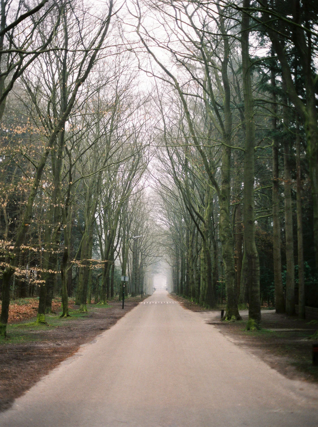 Holland Серия sq space)71.jpg