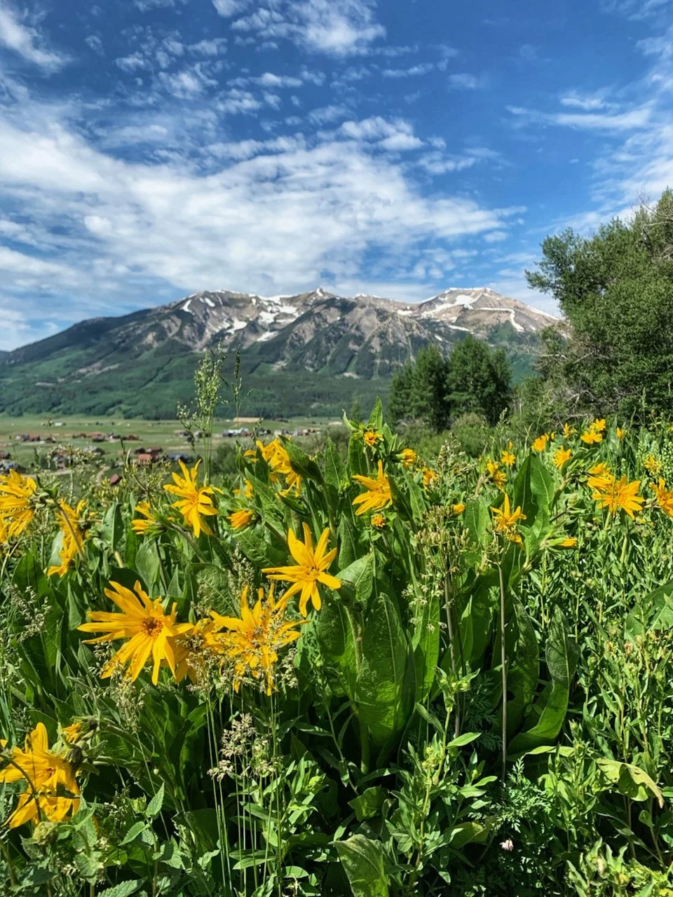 Quick tips to help you relax and prepare for your next adventure in Crested Butte, Colorado