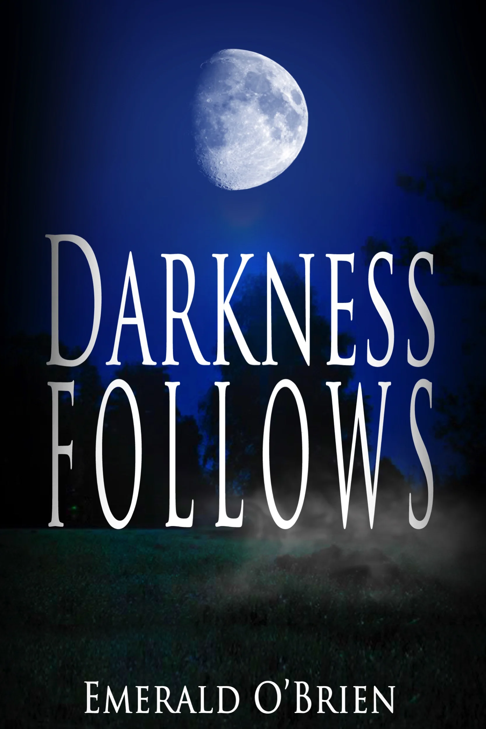 Darkness-Follows-Kindle.jpg