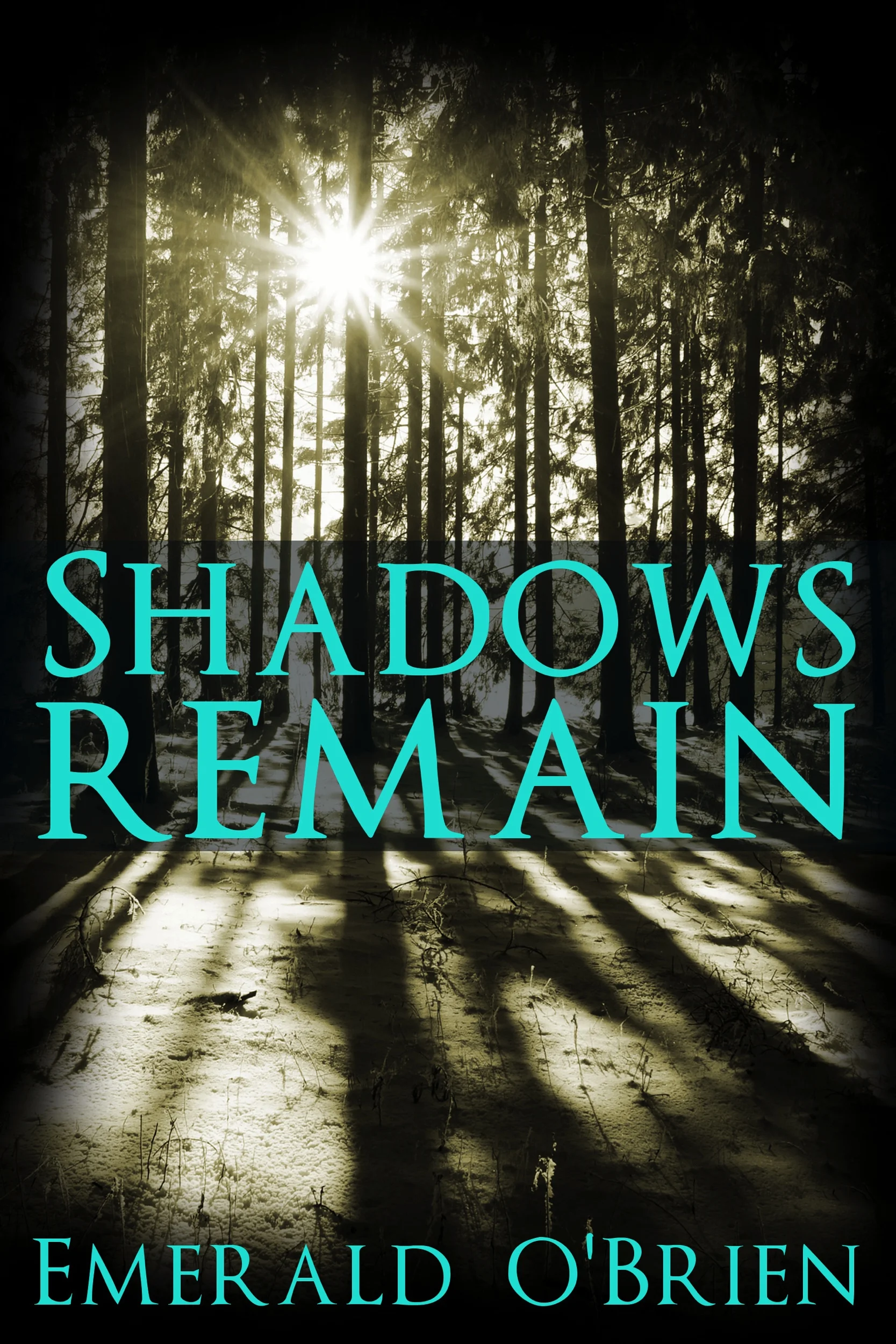 Shadows-Remain-Kindle.jpg