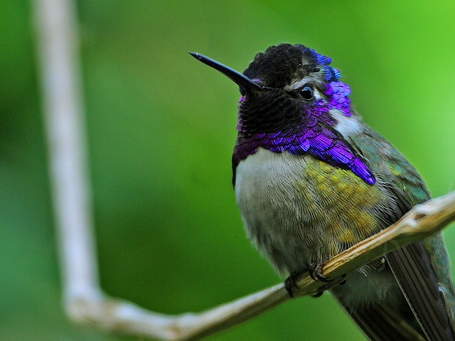 photo by: kristen thomas