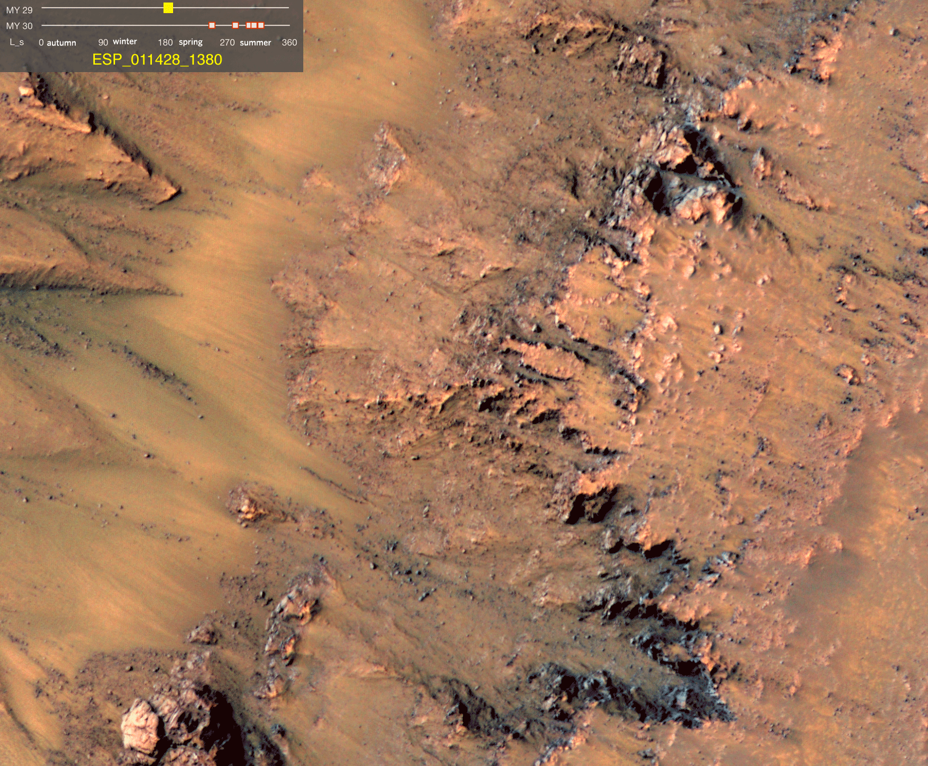 Warm seasonal flows in Newton Crater on Mars as captured by Mars Reconnaissance Orbiter