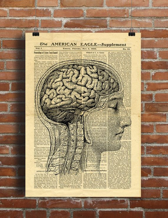Neuroethics Coverage Image.png