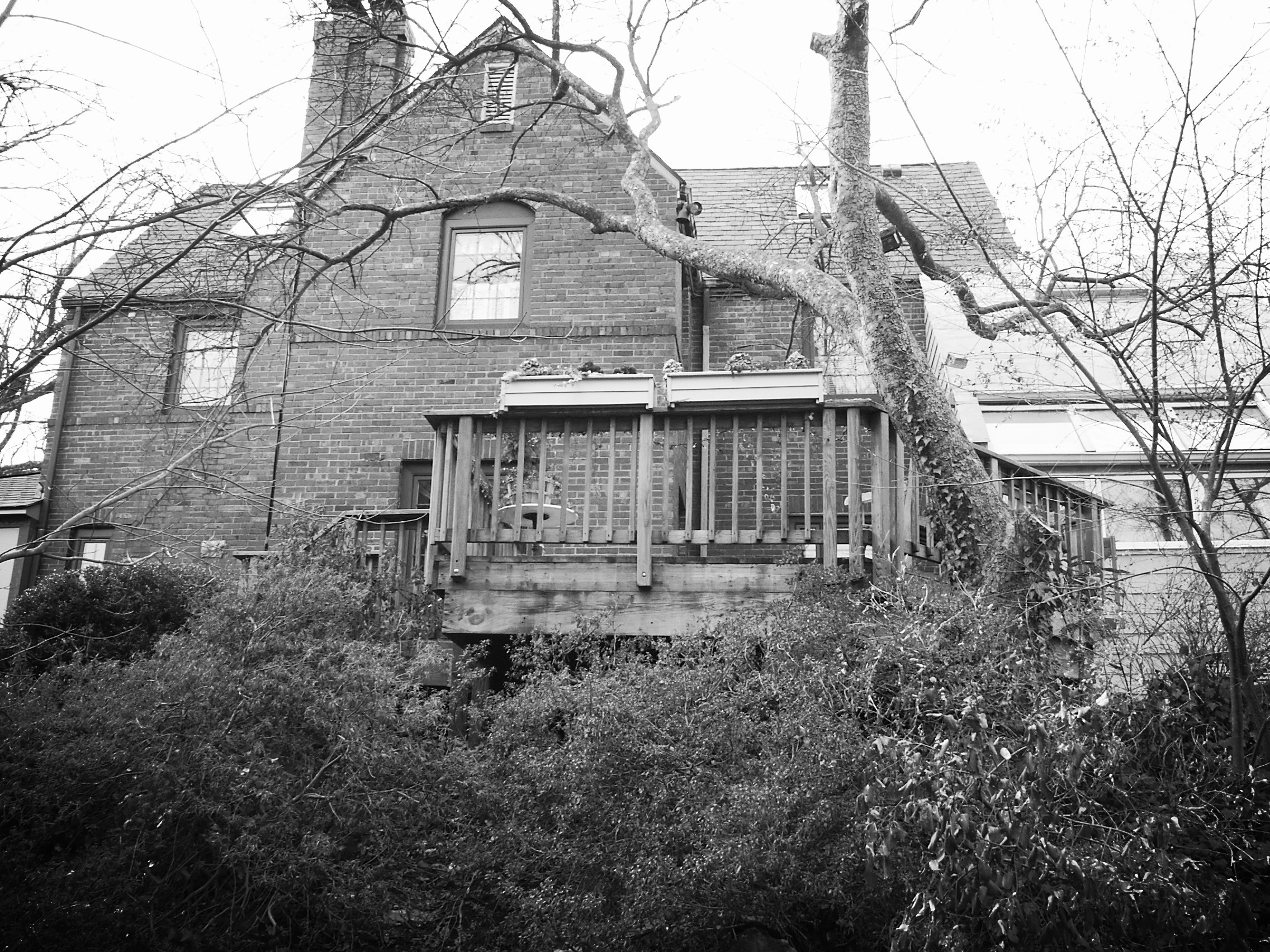 Luther Paul Weber Heavy Timber Tudor Before 4